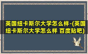 英国纽卡斯尔大学怎么样-(英国纽卡斯尔大学怎么样 百度贴吧)